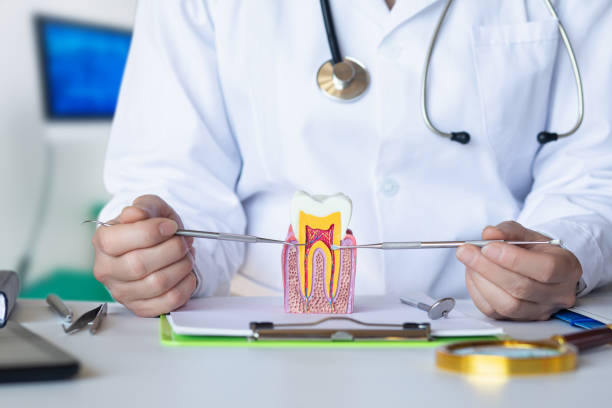 Best After-Hours Emergency Dentist in Clinton, MS